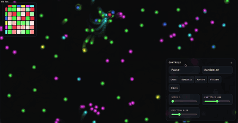 Particle Life simulation demo